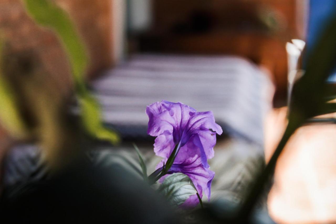 Casa Ka'A Hostel Ubatuba Bagian luar foto
